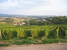 Weinbaugebiet Nahe